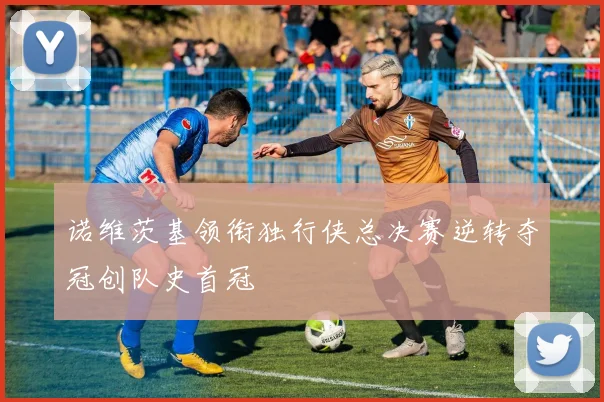 诺维茨基领衔独行侠总决赛逆转夺冠创队史首冠