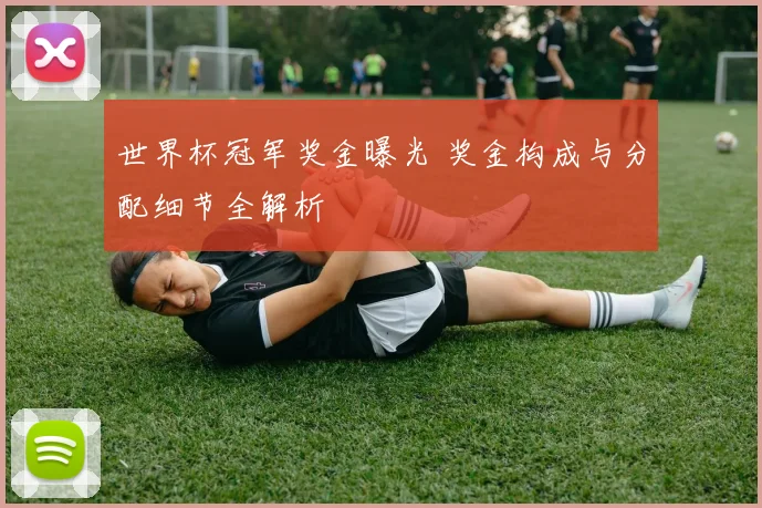 世界杯冠军奖金曝光 奖金构成与分配细节全解析