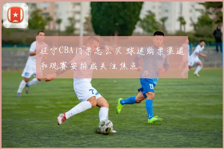 辽宁CBA门票怎么买 球迷购票渠道和观赛安排成关注焦点