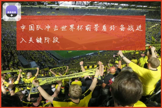 中国队冲击世界杯前景看好 备战进入关键阶段