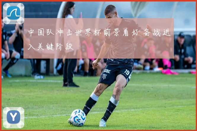 中国队冲击世界杯前景看好 备战进入关键阶段