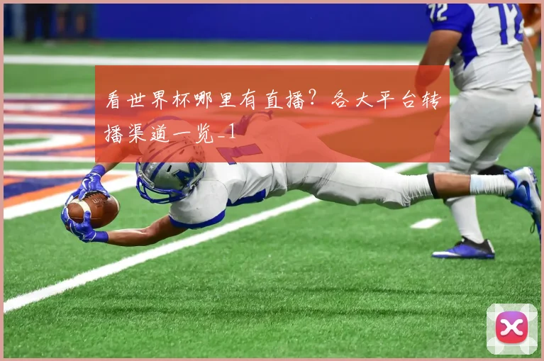 看世界杯哪里有直播?各大平台转播渠道一览_1