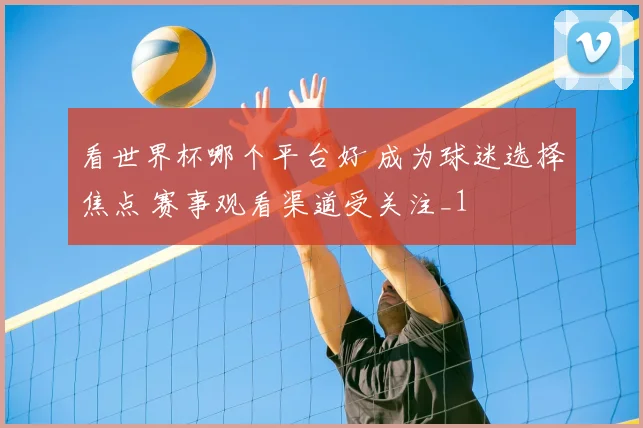 看世界杯哪个平台好 成为球迷选择焦点 赛事观看渠道受关注_1